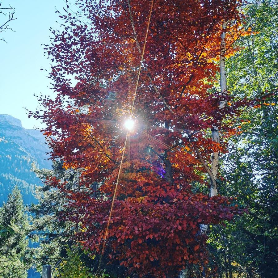 Ferienhaus Hochvogel Hinterhornbach Εξωτερικό φωτογραφία